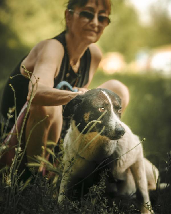 Cookie, una splendida meticcia Foto 4